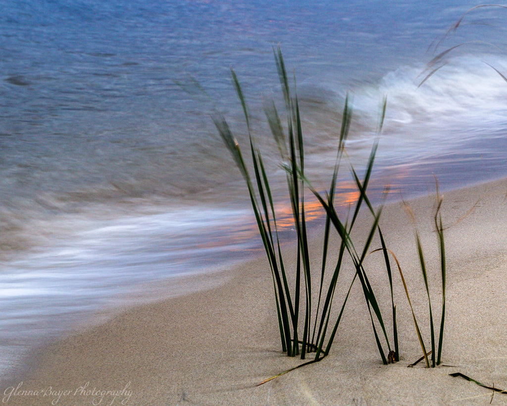 Lake Michigan Wave on beach with sand plants
