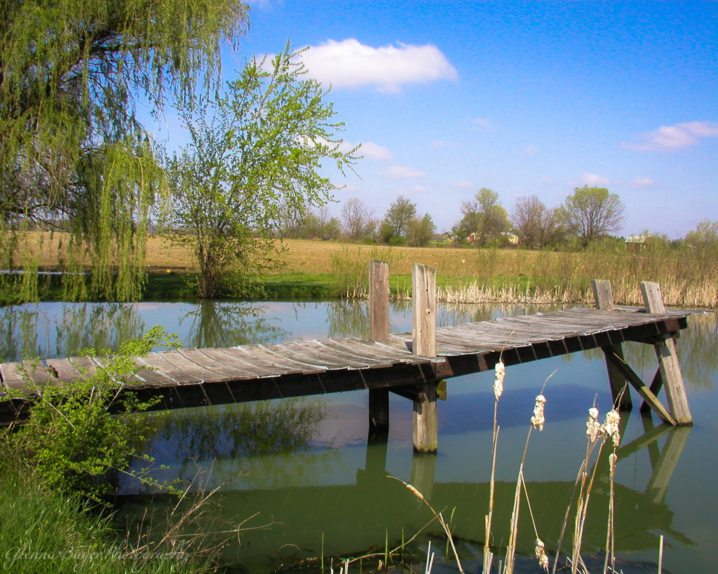 Pond with old wooden dock