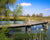 Pond with old wooden dock