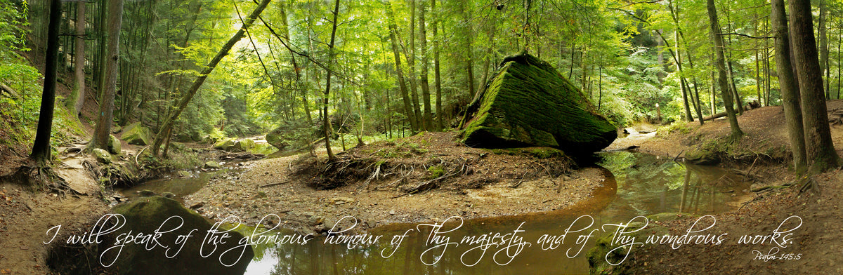 Panorama of stream through woods in summer at Old Man's Cave, Ohio with scripture verse