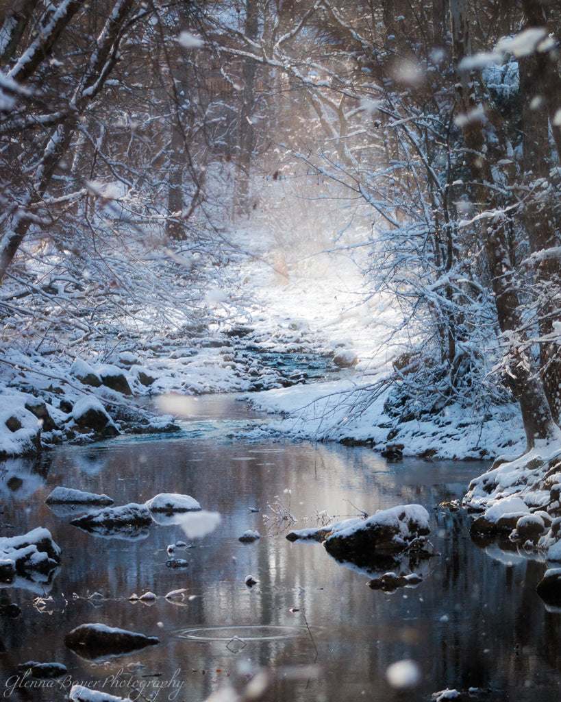 Painter Creek in winter wonderland