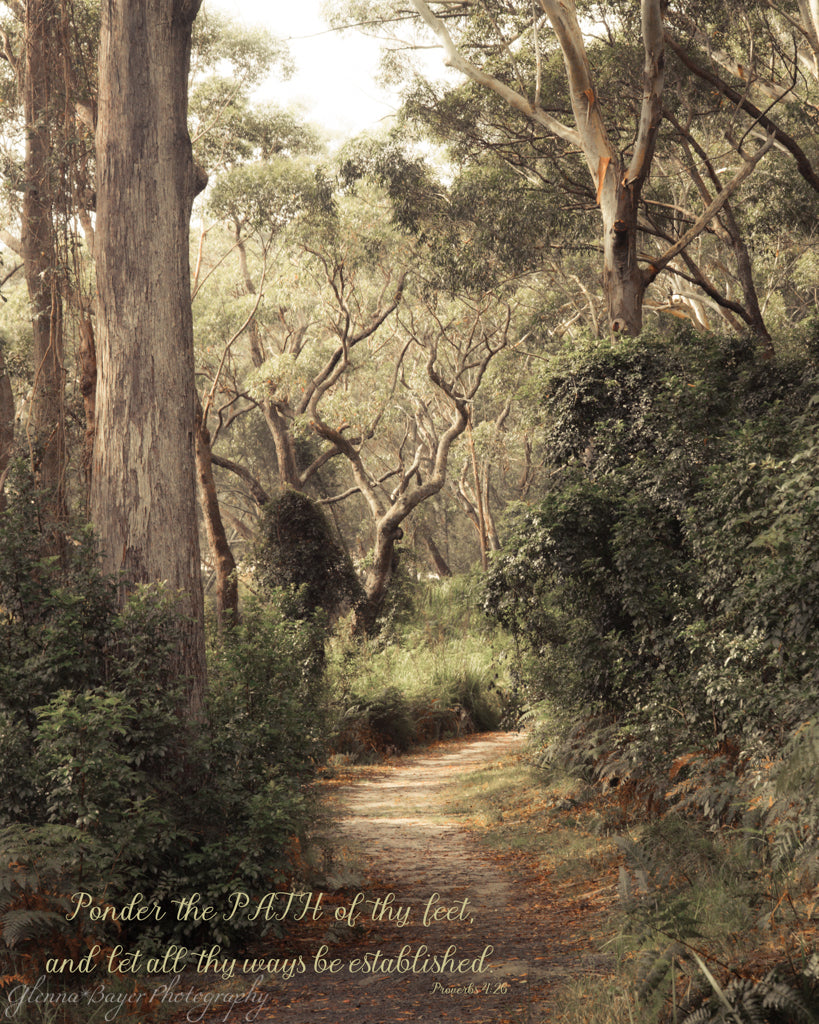 Path of light through the Australian Bush with scripture verse