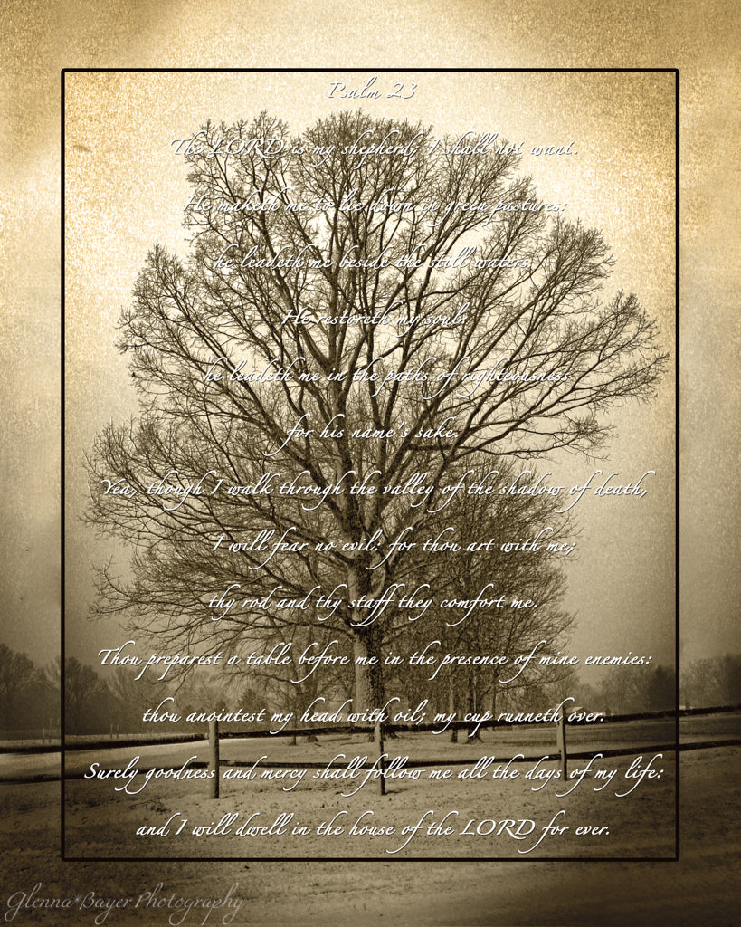 Sepia picture of tree with Psalm 23 over the image