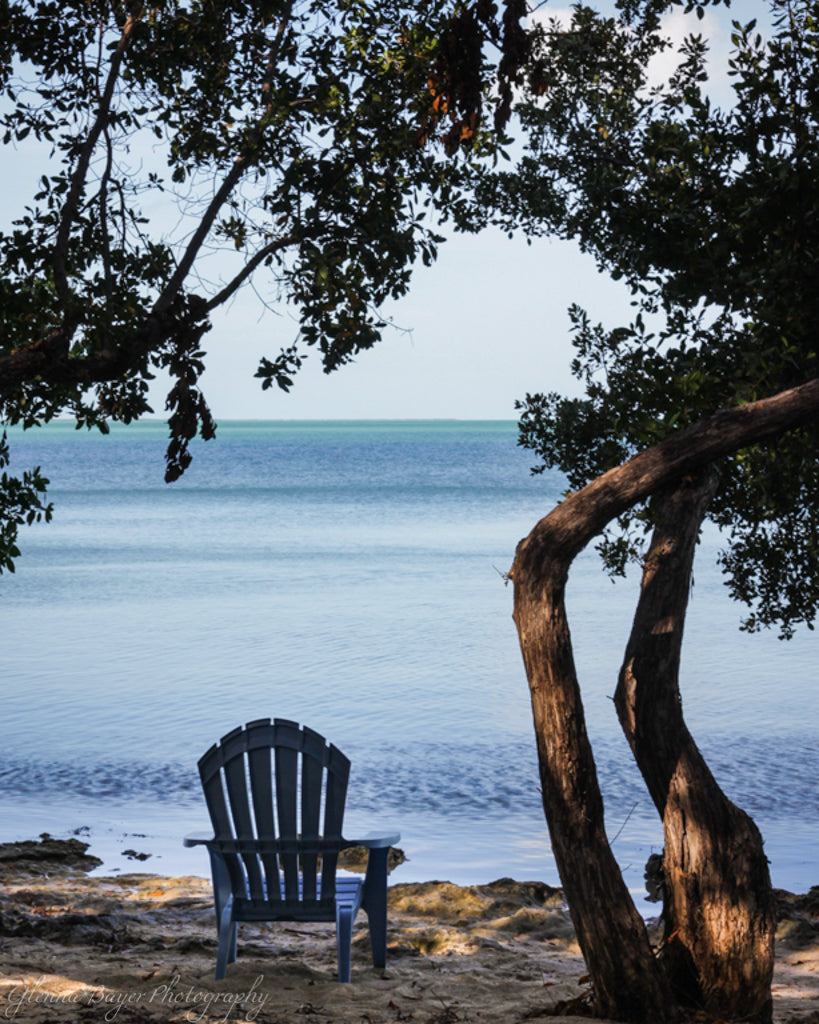 Lawn chair on beach under tree in the Florida Keys