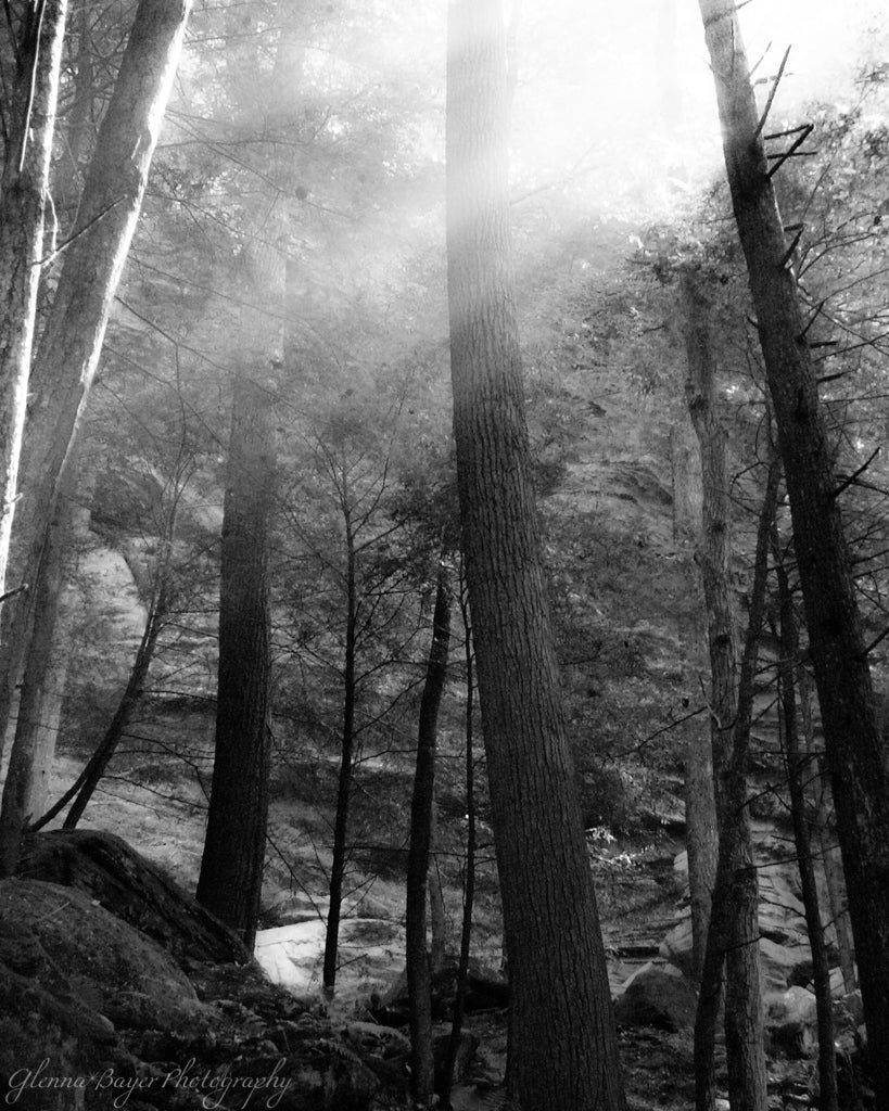 Sun Rays through the trees at Old Man's Cave, Ohio, in black and white