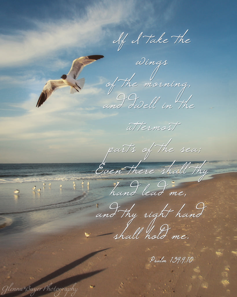 Seagull flying over beach with scripture verse