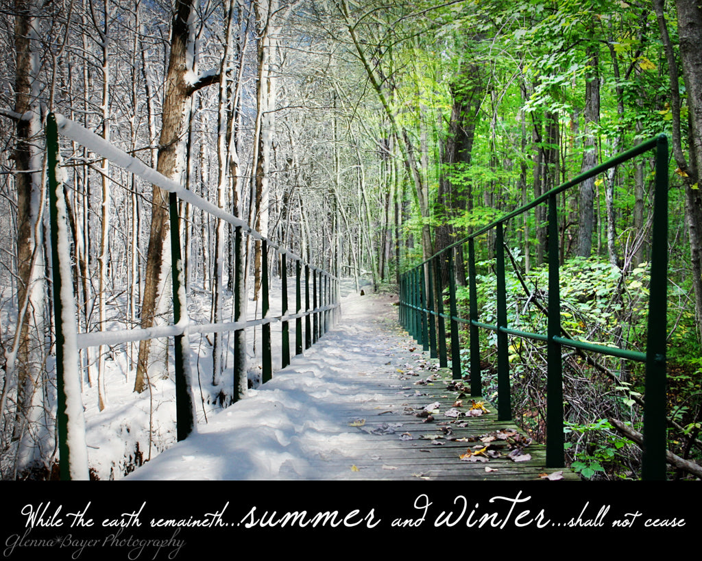 Winter to Summer collage of bridge and woods at Brukner Nature Center, Ohio with scripture verse