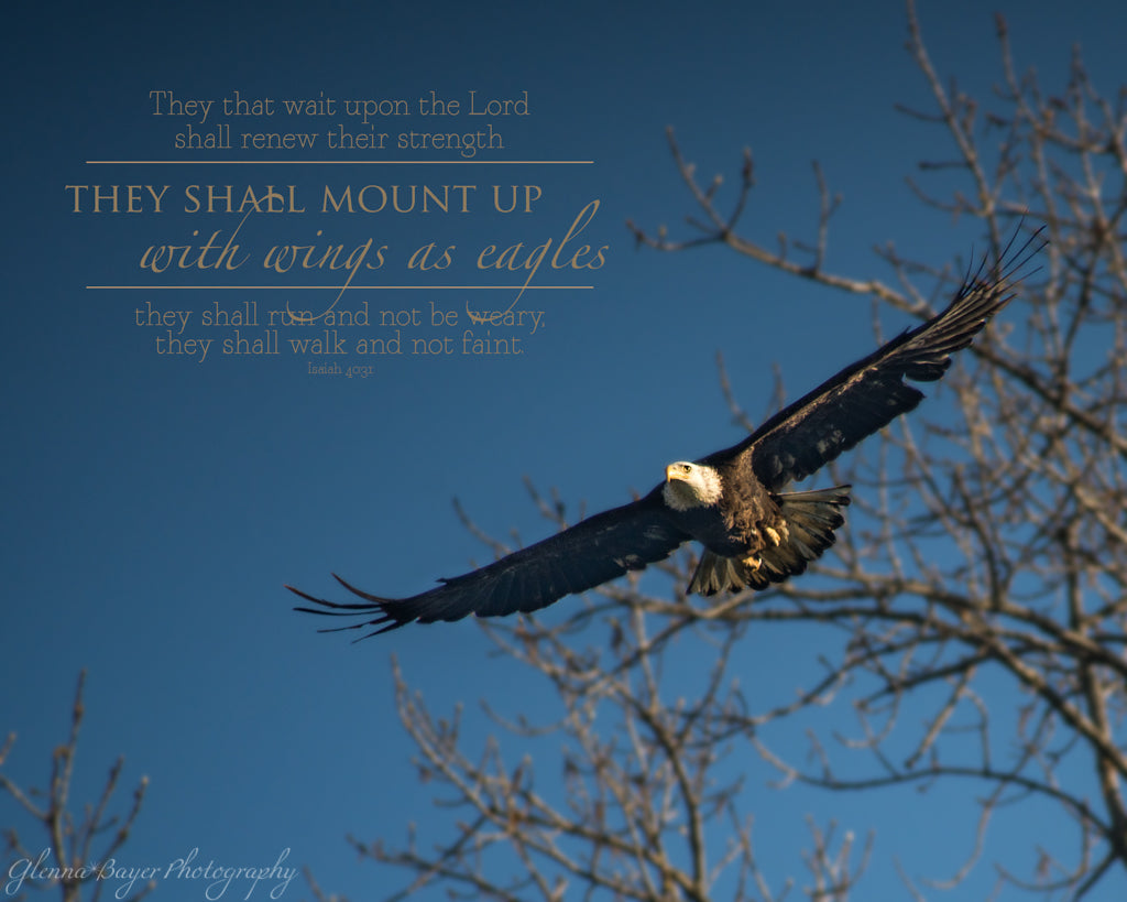 Soaring Eagle with scripture verse